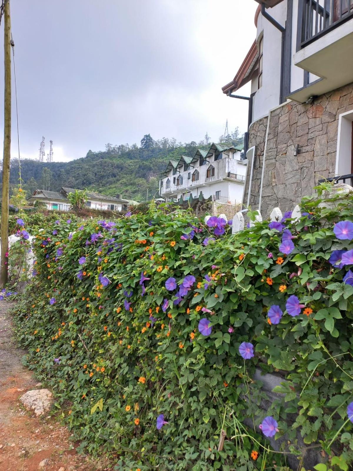 Villa de Roshe Nuwara Eliya Exterior foto